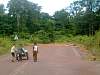 The end of the road! Beyond the trees, Cambodia